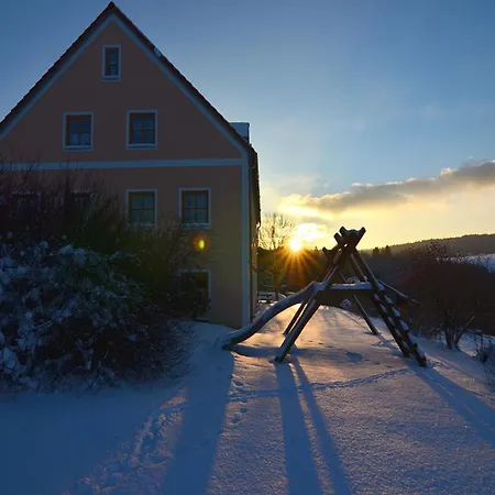 Apartment Lively With Sauna In Schonsee Dietersdorf